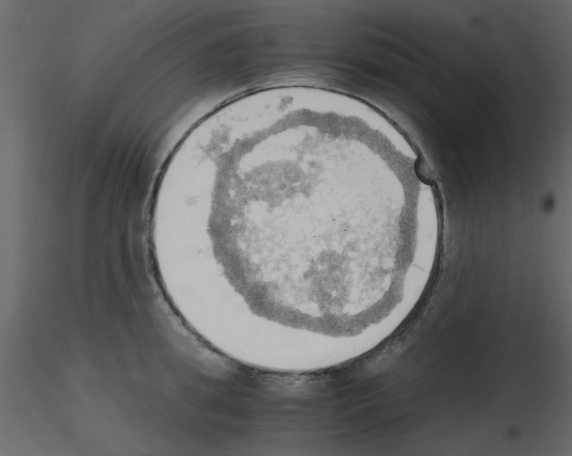 X0000115660949200912241356