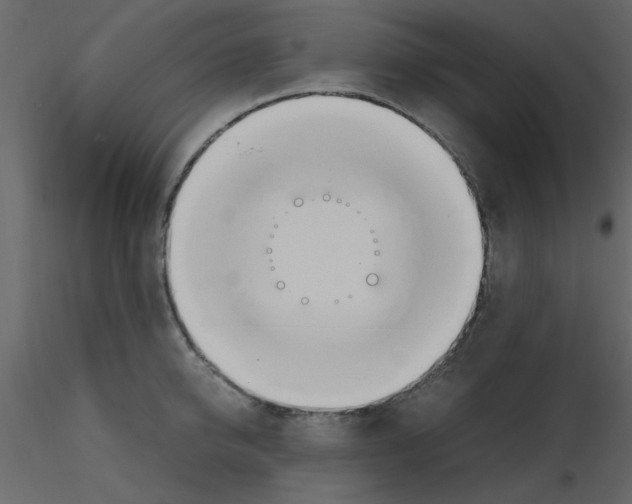 X0000115660950200912241356