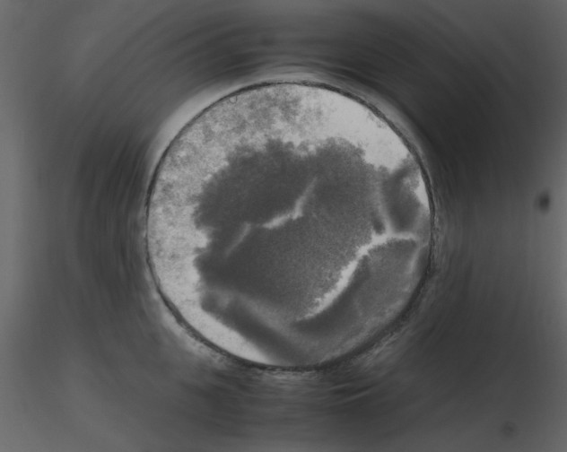 X0000115660951200912241356