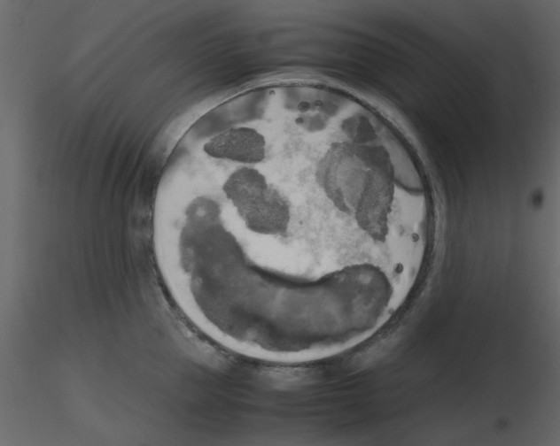 X0000115660953200912241356