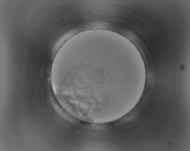 X0000115660954200912241356