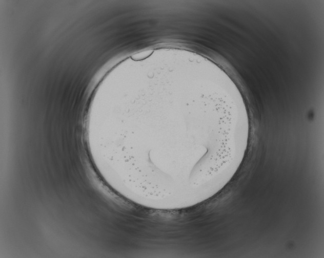 X0000115660955200912241356