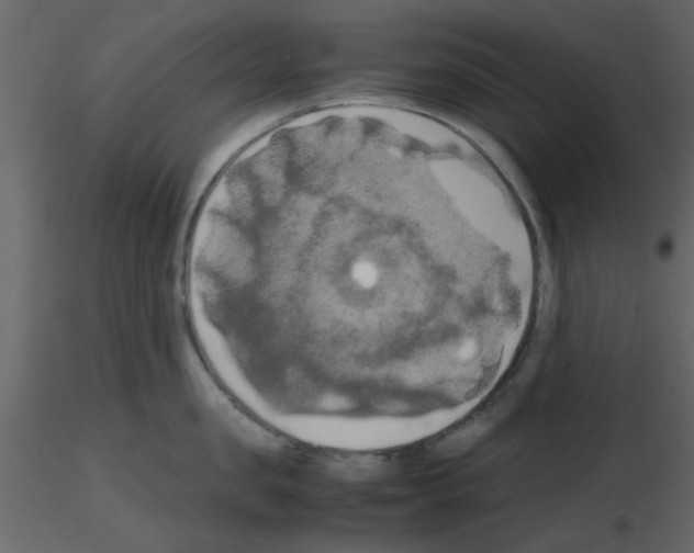 X0000115660957200912241356