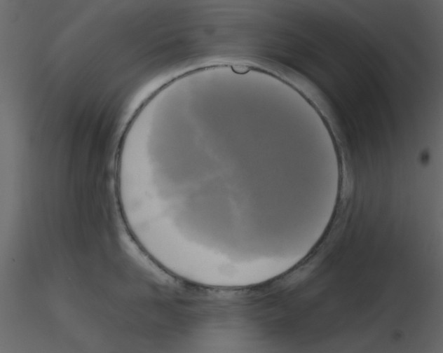 X0000115660958200912241356