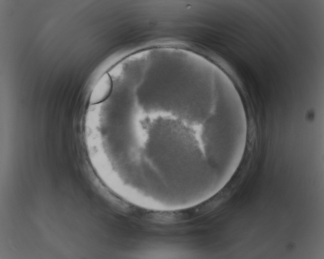 X0000115660959200912241356