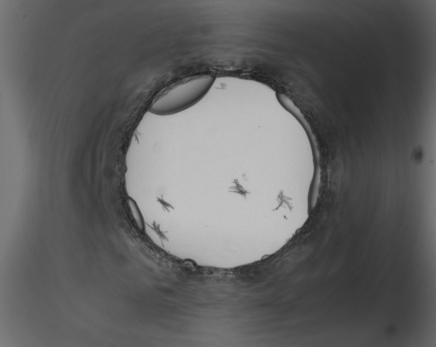 X0000115660961200912241355