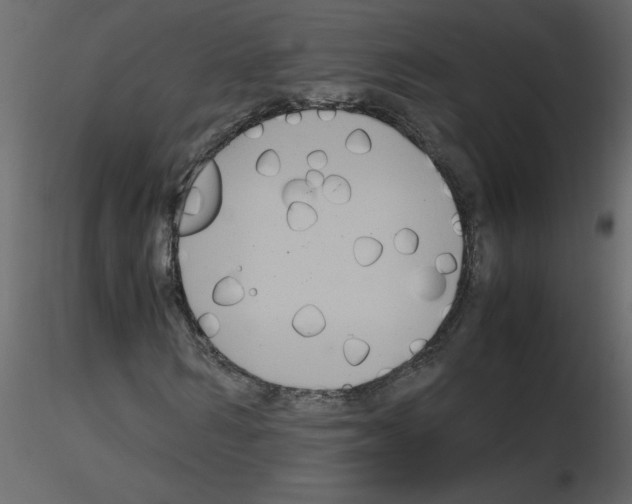 X0000115660962200912241355