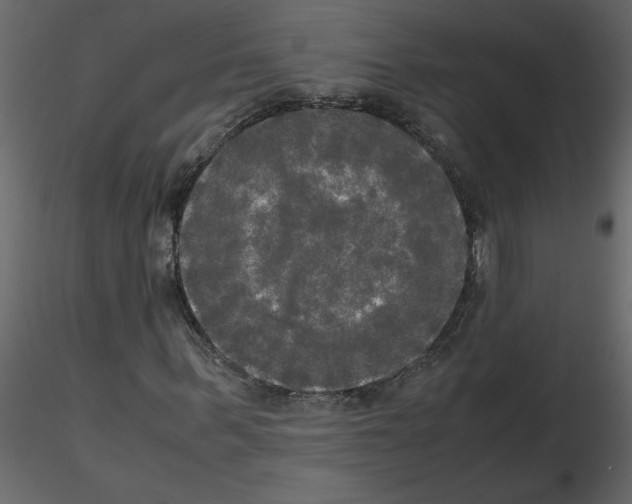 X0000115660963200912241355