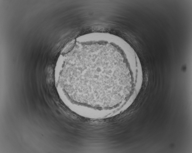 X0000115660964200912241355