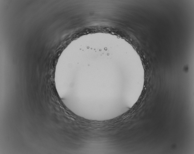 X0000115660965200912241355