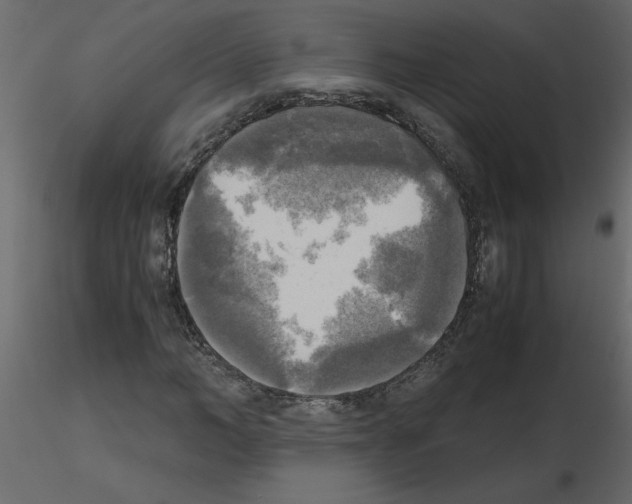 X0000115660966200912241355