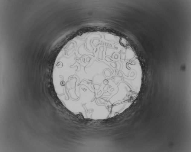 X0000115660967200912241355