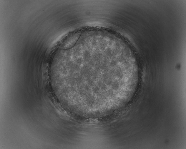 X0000115660968200912241355