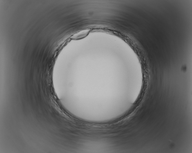 X0000115660969200912241355