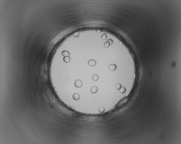 X0000115660970200912241355