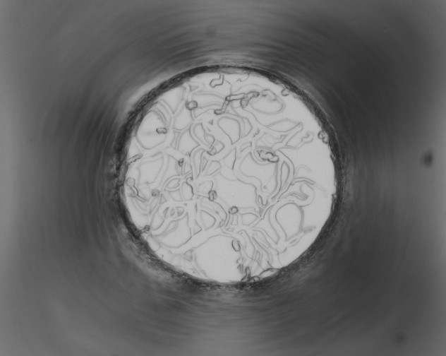 X0000115660971200912241355