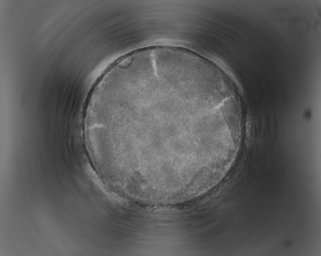 X0000115660972200912241355