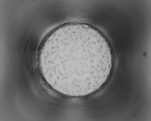 X0000115660974200912241355