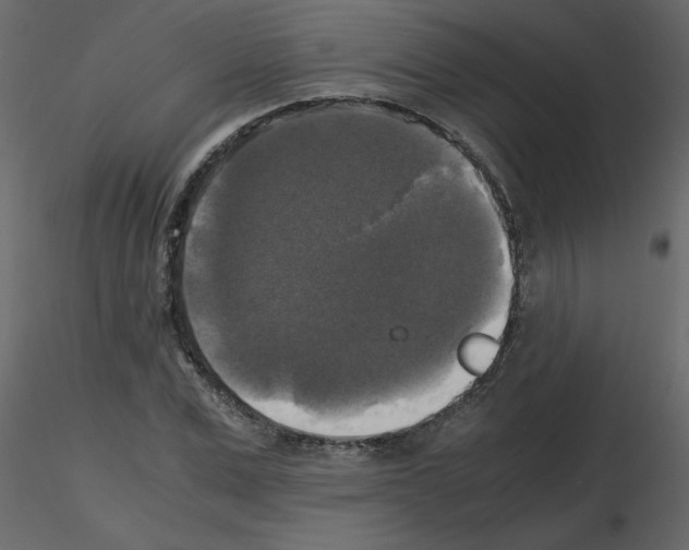 X0000115660975200912241355