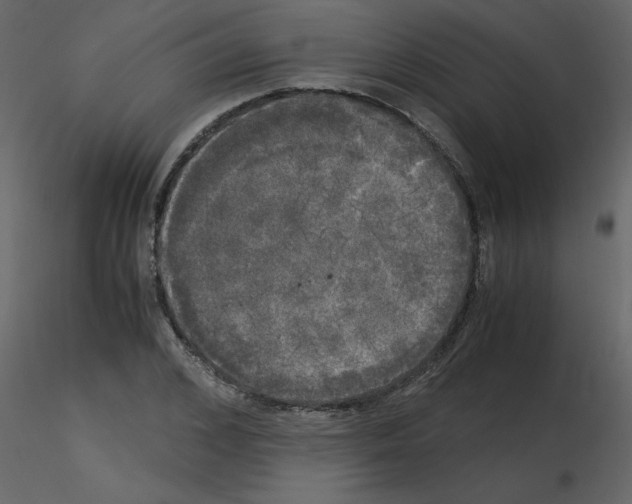 X0000115660976200912241355