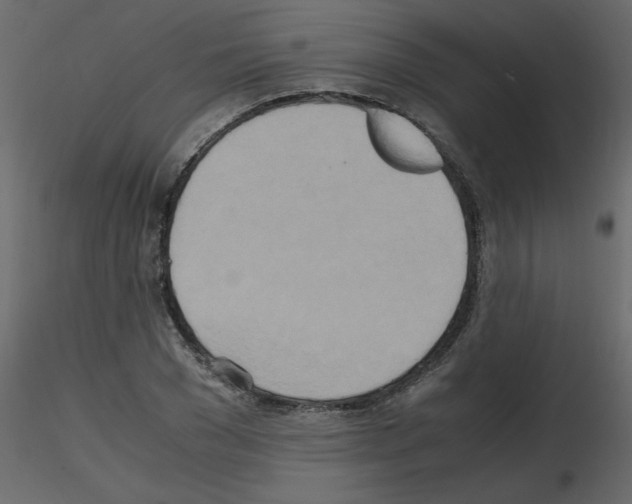 X0000115660977200912241355