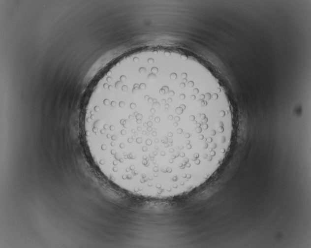 X0000115660978200912241355