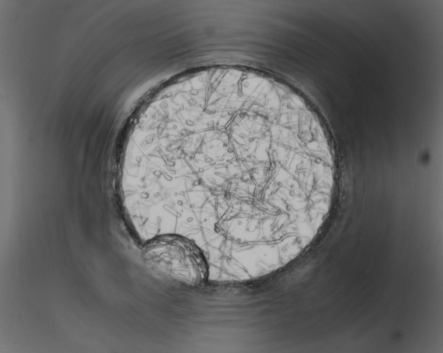 X0000115660979200912241355