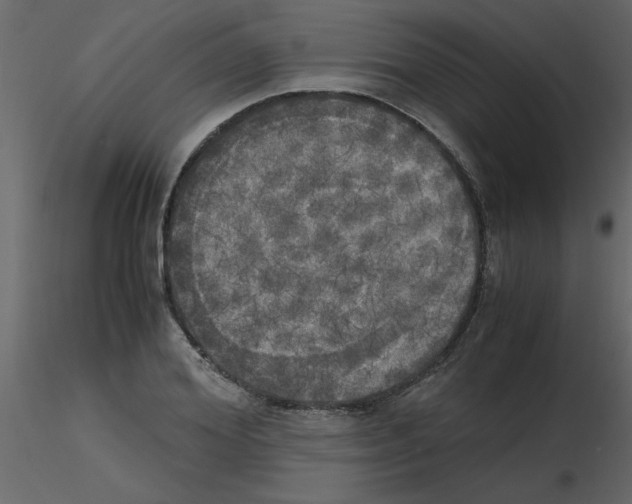 X0000115660980200912241355