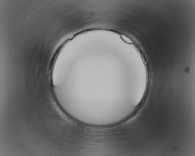 X0000115660981200912241355