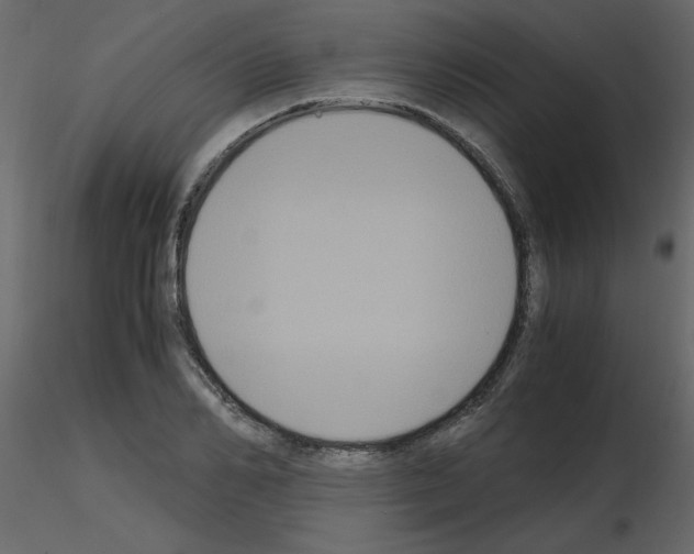 X0000115660982200912241355