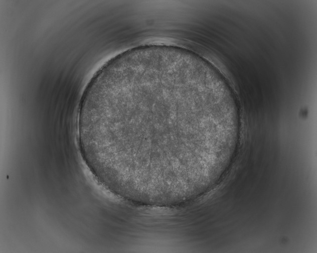 X0000115660984200912241355