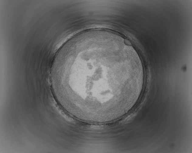 X0000115660985200912241355