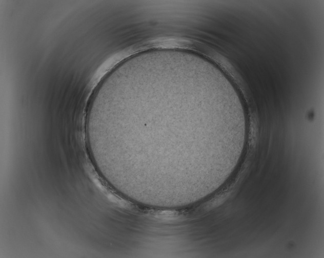 X0000115660986200912241355