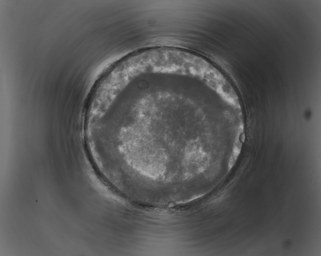 X0000115660987200912241355