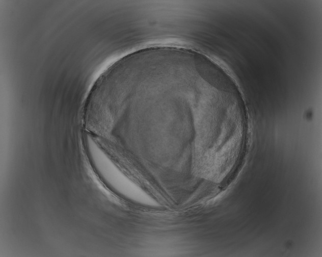 X0000115660989200912241355