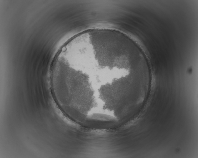 X0000115660990200912241355