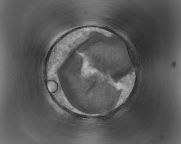 X0000115660991200912241355