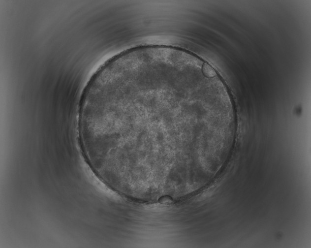 X0000115660992200912241355