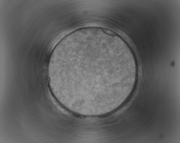 X0000115660993200912241355