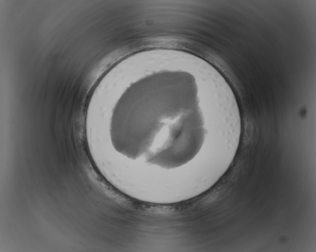 X0000115660994200912241355