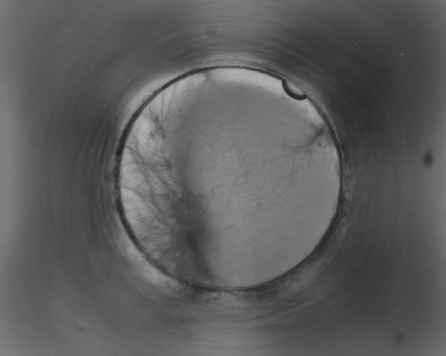 X0000115660995200912241355