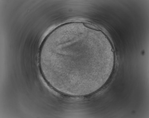 X0000115660997200912241355