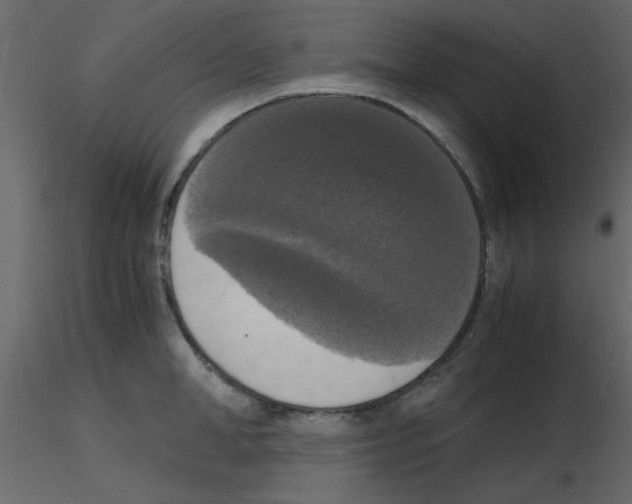 X0000115660998200912241355