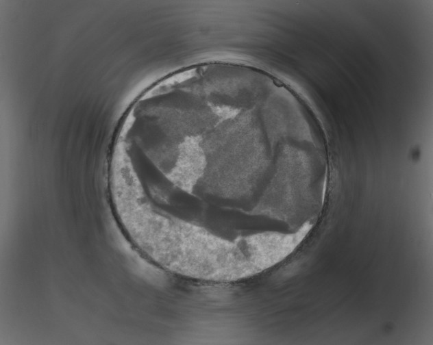 X0000115660999200912241355