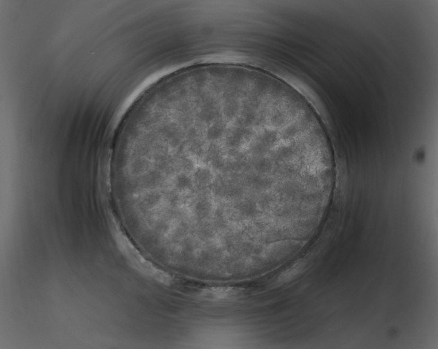 X0000115661000200912241355