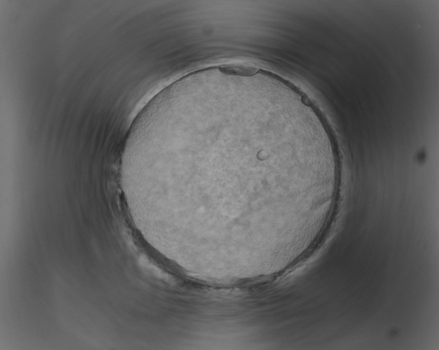 X0000115661001200912241355