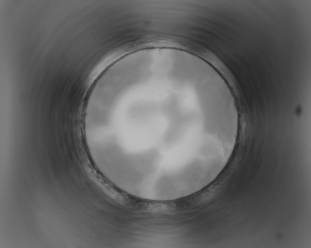 X0000115661002200912241355