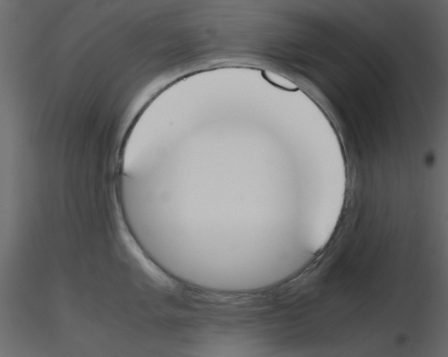 X0000115661005200912241355