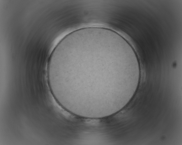 X0000115661006200912241355