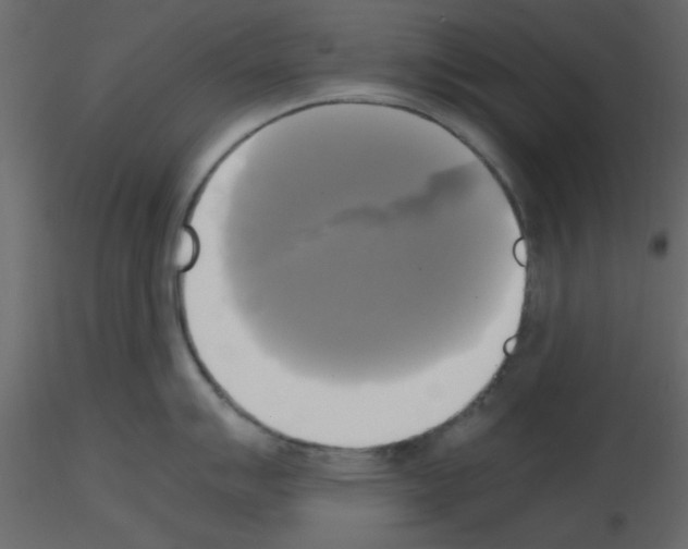 X0000115661007200912241355